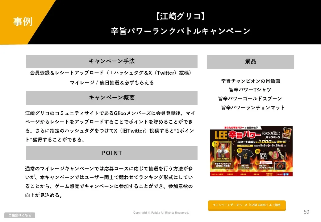 SNSキャンペーンの基礎が分かる！入門資料4点セット②