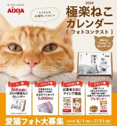アイシア|2025極楽ねこカレンダーフォトコンテスト