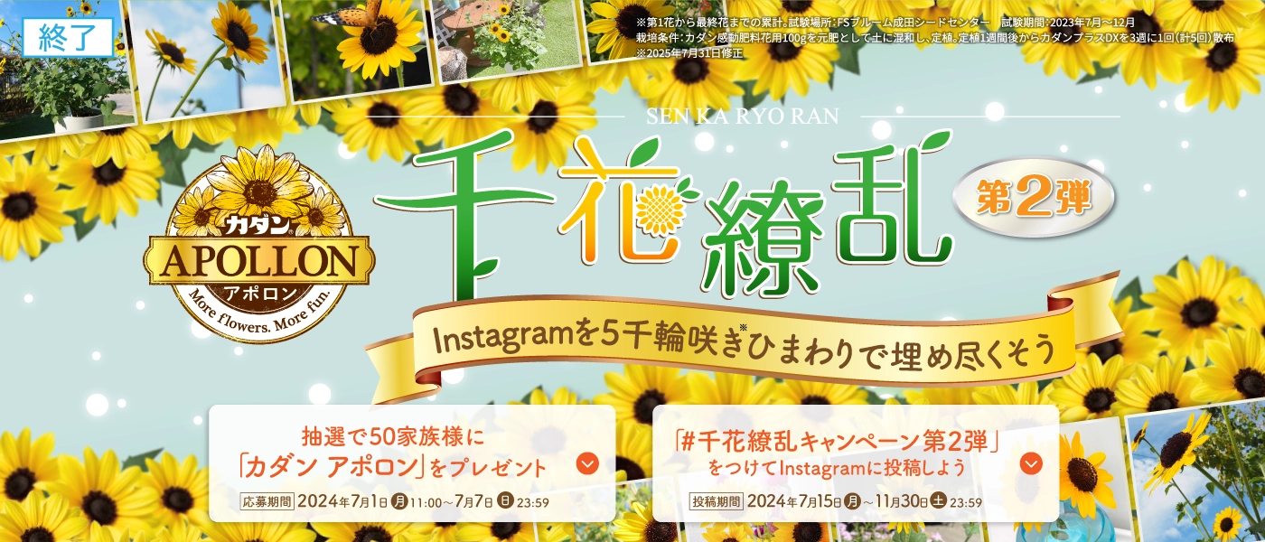 千花繚乱キャンペーン第2弾